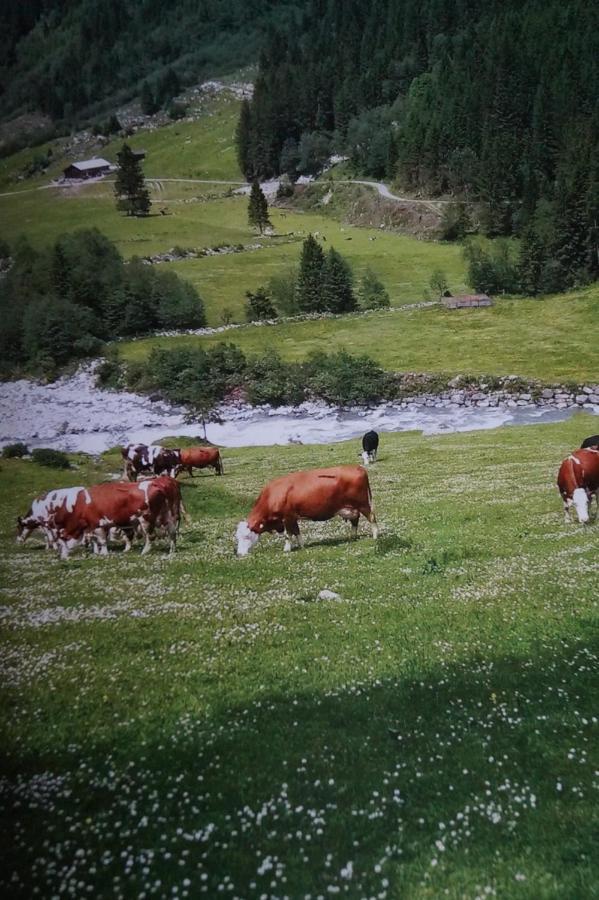 Apartament Krandlhof Zell am Ziller Zewnętrze zdjęcie