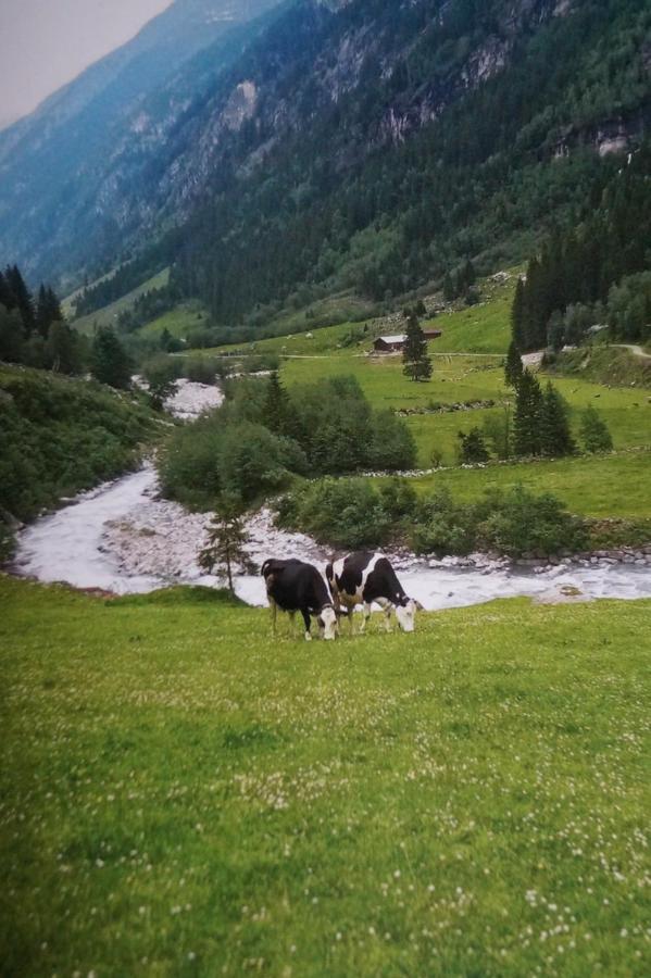 Apartament Krandlhof Zell am Ziller Zewnętrze zdjęcie
